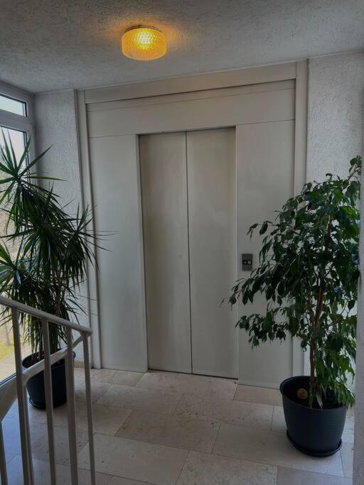 Penthouse Apartment In Kehl Dış mekan fotoğraf