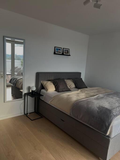 Penthouse Apartment In Kehl Dış mekan fotoğraf